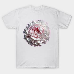 Beautiful Pink Peony Flower T-Shirt